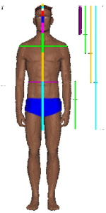 The Golden Ratio – Scienceteen Education